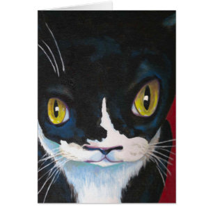 Cartão Olhos de gato