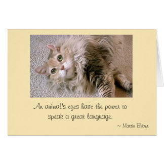 Cartão Olhos de Mattie