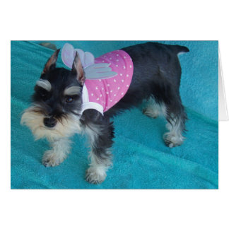 Cartão Olhos do anjo do Schnauzer