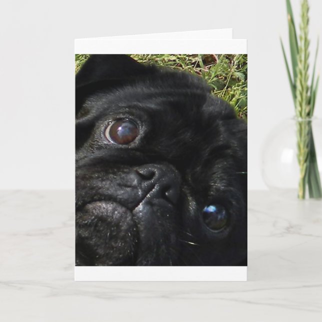 Cartão olhos do preto-pug (Frente)