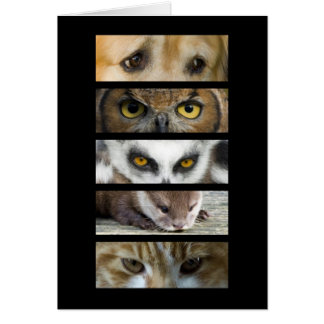 Cartão - olhos dos animais