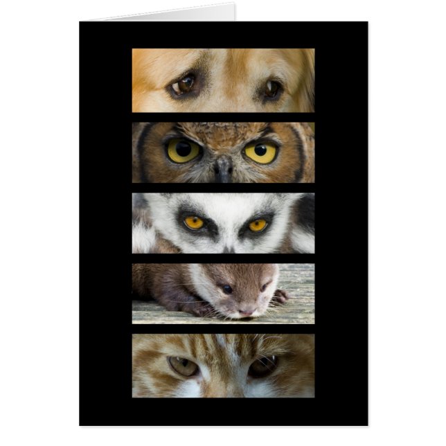 Cartão - olhos dos animais (Frente)