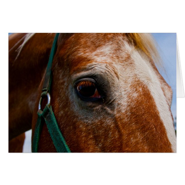 Cartão Olhos Fiery (Frente Horizontal)