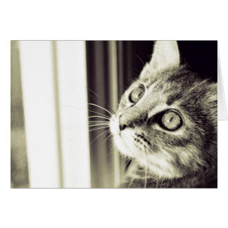 Cartão Olhos Veem Estrelas em Preto e Branco