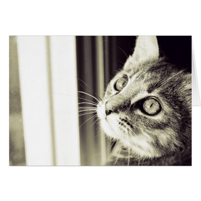 Cartão Olhos Veem Estrelas em Preto e Branco (Frente Horizontal)