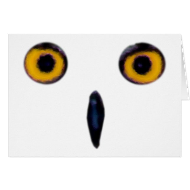 Cartão Olhos velhos sábios da coruja (Frente Horizontal)