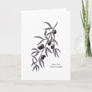 Cartão Olive Branch Blank Greeting Card for any occasion