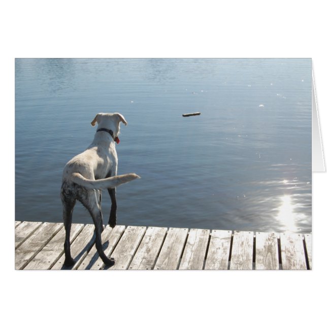 Cartão Oliver, o Laboratório de Ouros (Frente Horizontal)