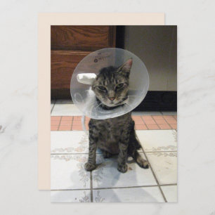 Cartão Oliver The Cats Cone of Shame Flat Get Good Card
