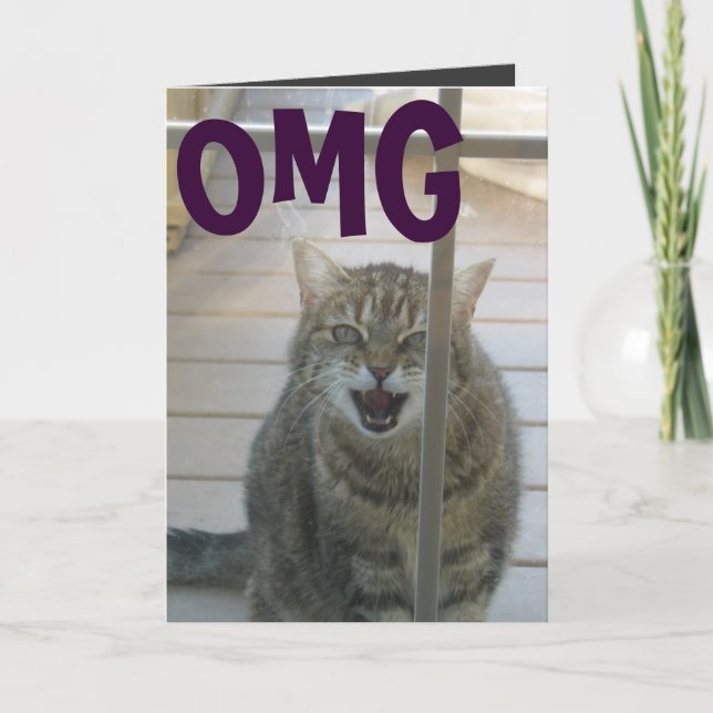Cartão omg cat happy birthday card (Frente)
