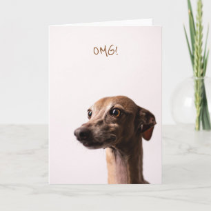 Cartão OMG dog card