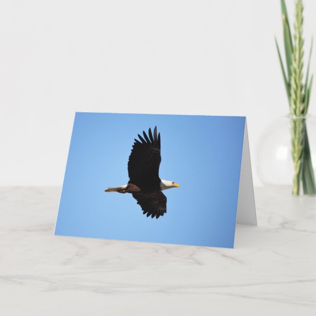 Cartão On Eagle Wings Card (Frente)