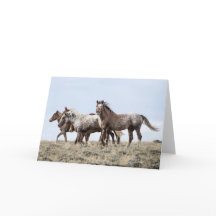 On the Ridge: Galloping to Freedom Greeting Card