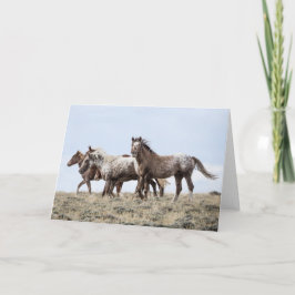 Cartão On the Ridge: Galloping to Freedom Greeting Card