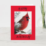 CARTÃO ON YOUR "BIRTHDAY" TIME TO RELAX & ENJOY THE VIEW<br><div class="desc">THIS IS A PERFECT CARD FOR THAT PERSON IN YOUR LIFE MEANS "A LOT TO YOU" FRIEND AND OR FAMILY MEMBERS FOR SURE! "GREAT" FOR A "WINTER BIRTHDAY" OR SOMEONE WHO "LOVES BIRDS!" THANK YOU FOR STOPPING BY ONE OF MY EIGHT STORES!!!!</div>