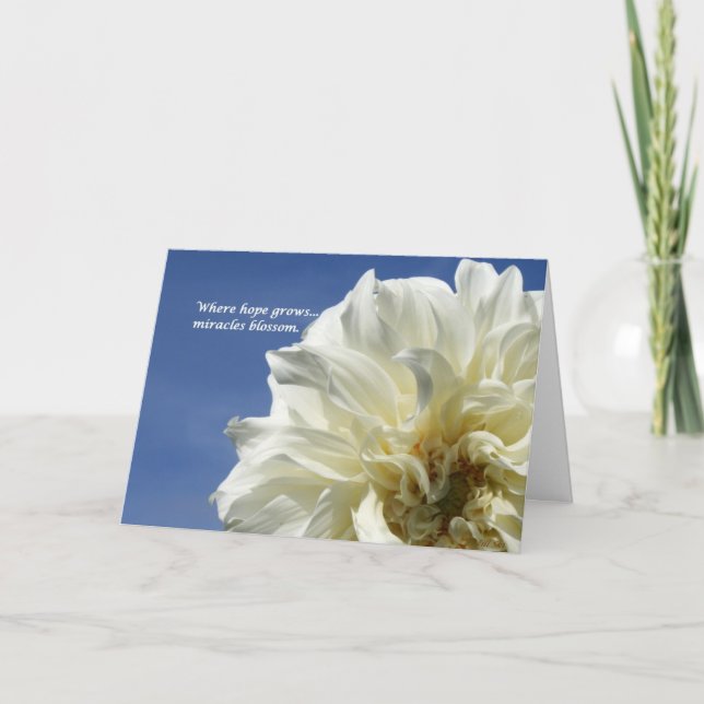 Cartão Onde a esperança cresce (Frente)