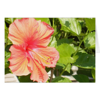 Cartão Onde as flores florescem assim que espera