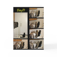 Onde Esse Garoto Foi Graduar?