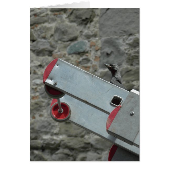 Cartão Onde está o fogo? (Frente)