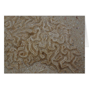 Cartão Onde está seu cérebro?