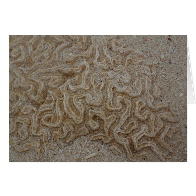 Cartão Onde está seu cérebro? (Frente Horizontal)