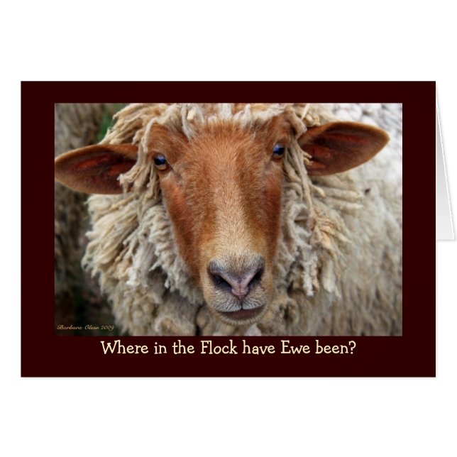 Cartão Onde no Flock esteve o Ewe? (Frente Horizontal)