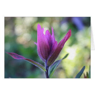 Cartão Onde o amor espera