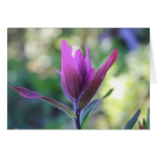 Cartão Onde o amor espera