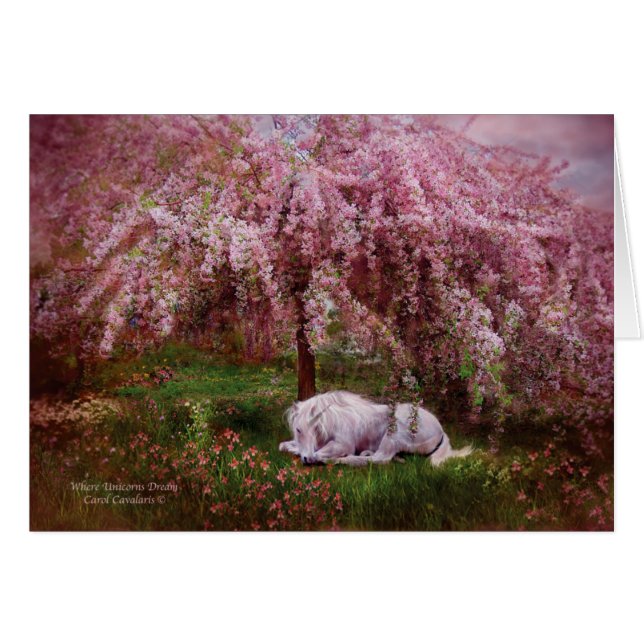 Cartão Onde o ArtCard ideal do unicórnio (Frente Horizontal)