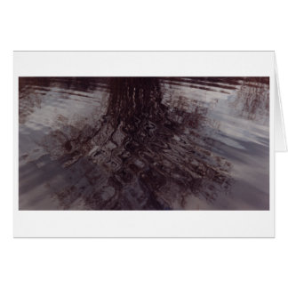 Cartão ondulações que se cruzam num lago