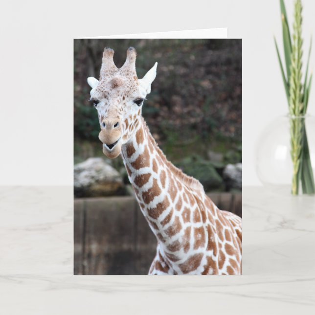 Cartão Oooh, somebody's getting older! (Frente)