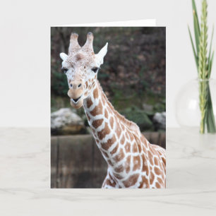 Cartão Oooh, somebody's getting older!