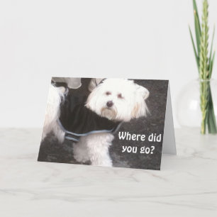 CARTÃO OOPS, ESQUECEU O SEU ANIVERSÁRIO