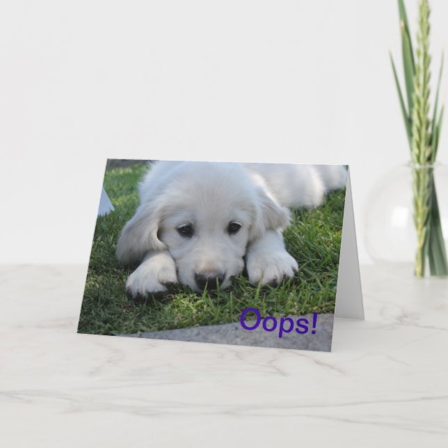 Cartão Oops, I'm Sorry apology card (Frente)