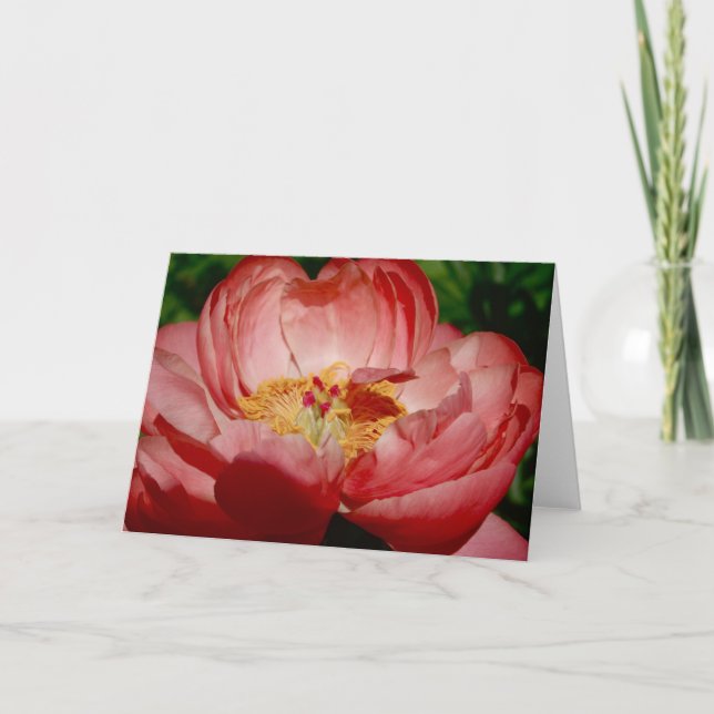 Cartão Open Up (Frente)