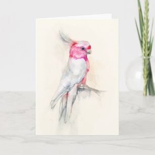 Cartão Ópera Cockatoo