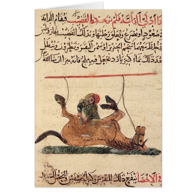 Cartão Operação em um cavalo, ilustração (Frente)