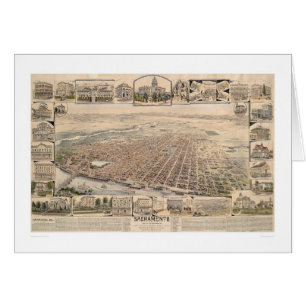 Cartão Opinião de olho de pássaro de Sacramento,