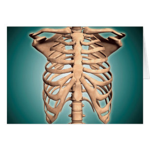 Cartão Opinião do Fim-Acima da caixa torácica humana