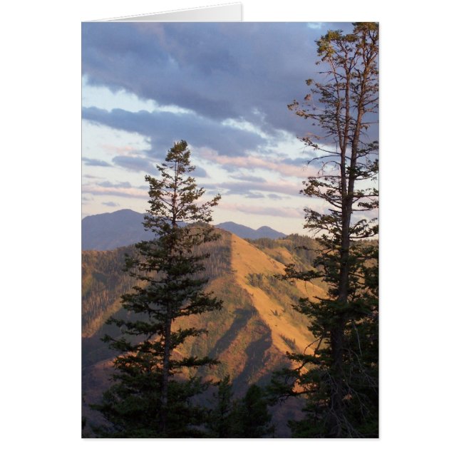 Cartão Opinião do vertical dos infernos (Frente)