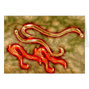 Cartão Opinião microscópica o Hookworm 1