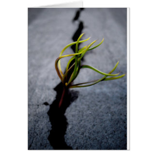 Cartão Oportunidade