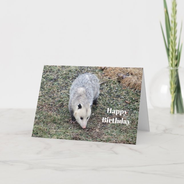 Cartão Opossum Photo Birthday (Frente)