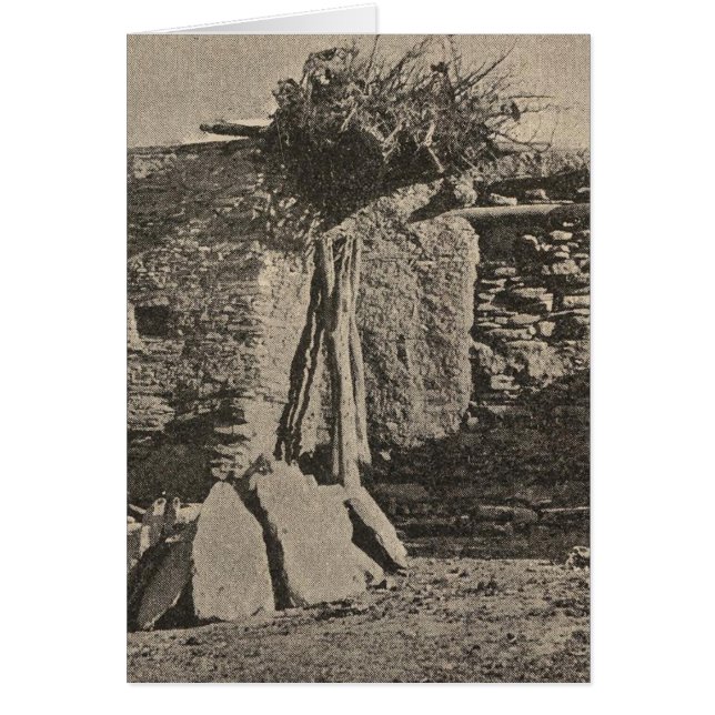 Cartão Oraibi (Frente)