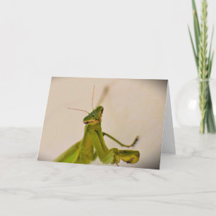 Cartão Orando Mantis, carta