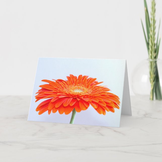 Cartão "Orange!" 5" x 7" greetings card, blank (Frente)