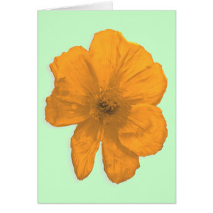 Cartão Orange Aid/ PopArt Flower