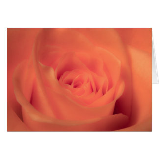 Cartão Orange Beauty