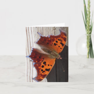 Cartão Orange Butterfly Note card