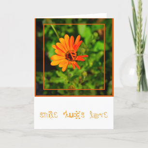 Cartão Orange Daisy-CARD